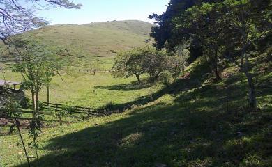 Fazenda à venda com 3 quartos, 40000m² - Foto 22