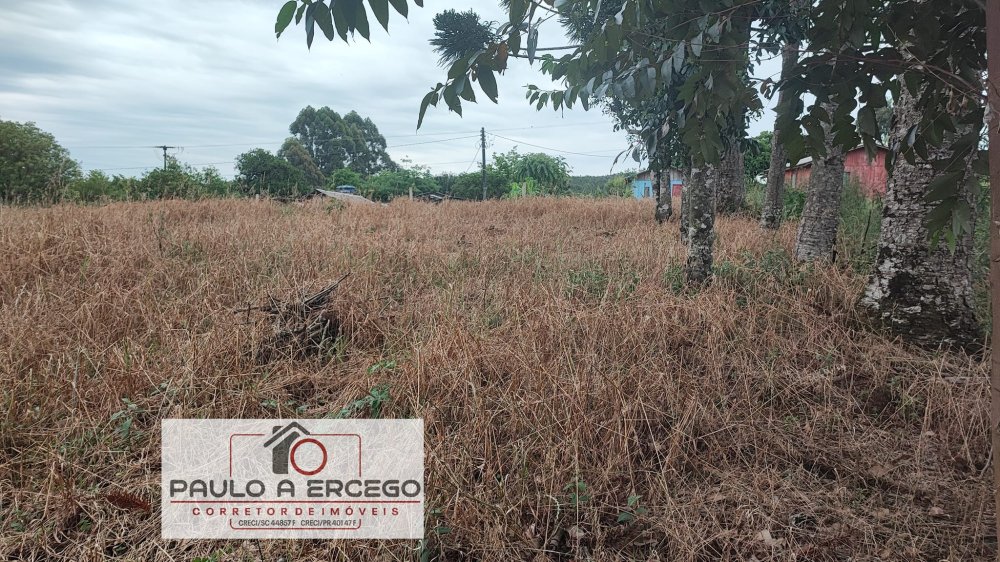 Fazenda à venda com 1 quarto, 1780m² - Foto 5