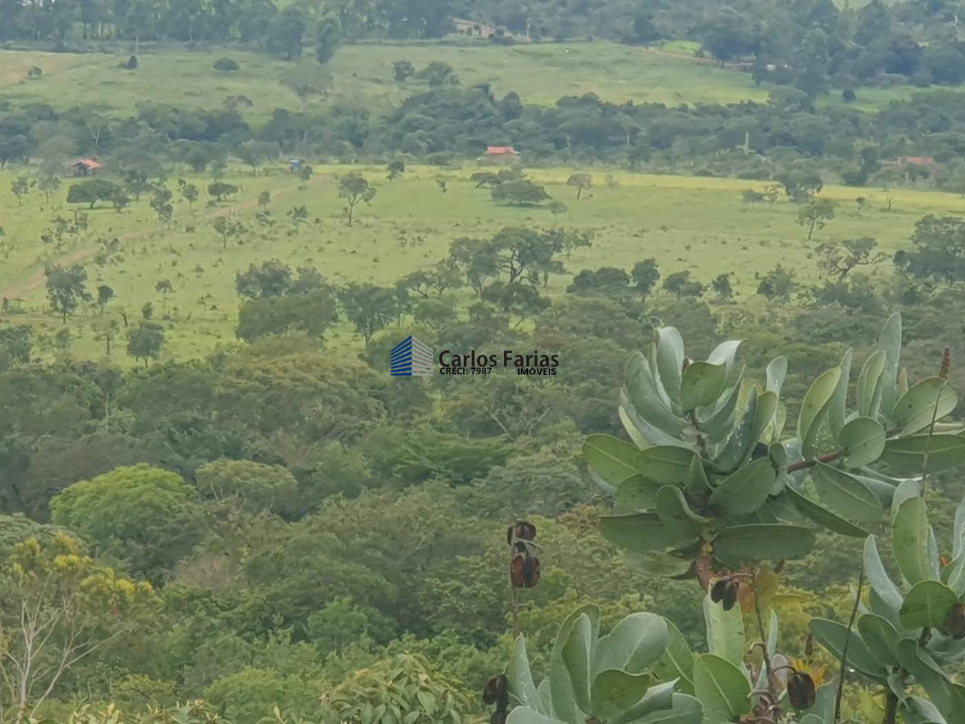 Fazenda à venda com 4 quartos, 300m² - Foto 36