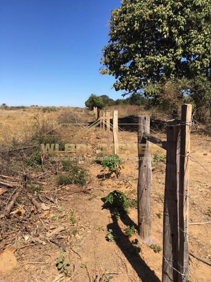 Fazenda à venda, 3100m² - Foto 15