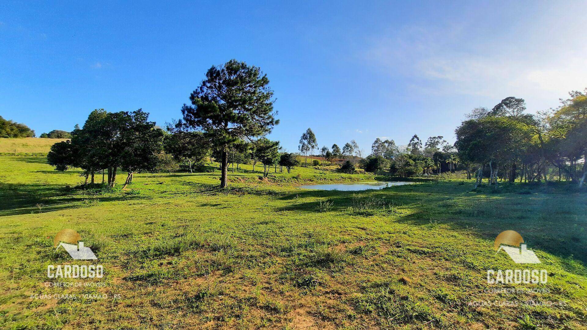 Sítio à venda, 117500M2 - Foto 7