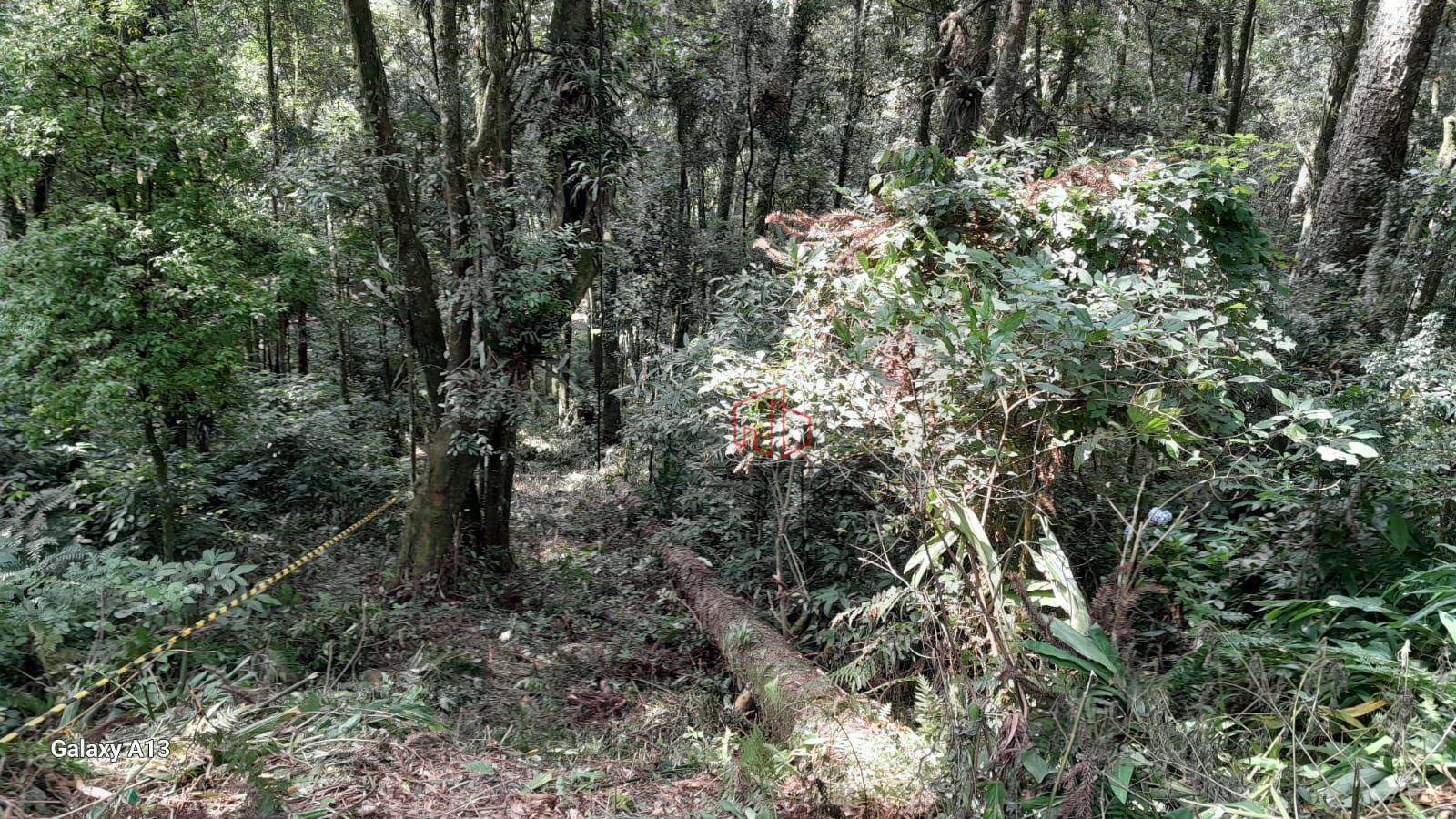 Terreno à venda, 922M2 - Foto 12