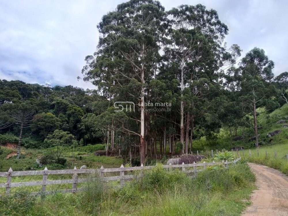 Fazenda à venda com 2 quartos, 24m² - Foto 74