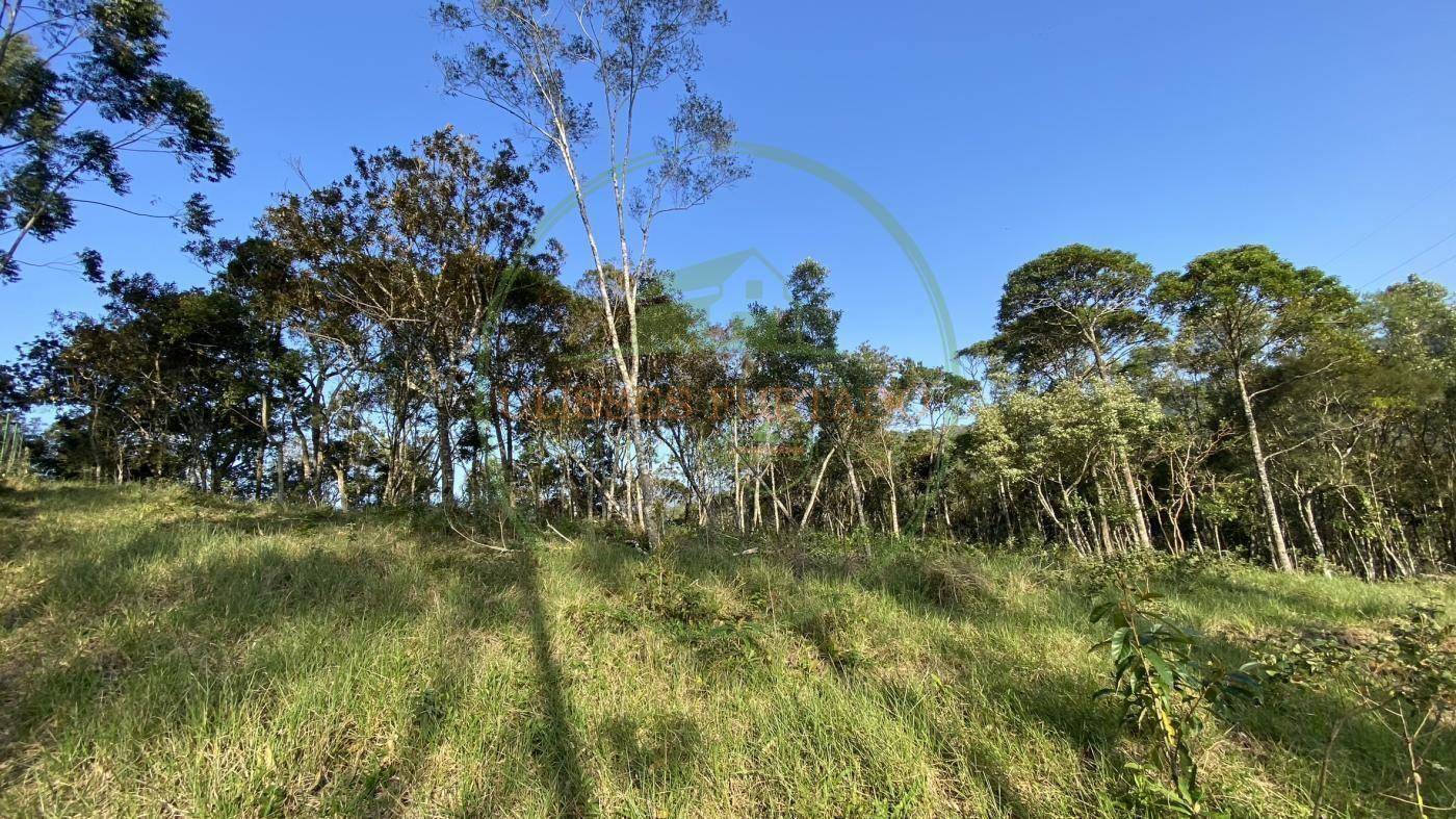 Sítio, 60 m² - Foto 5