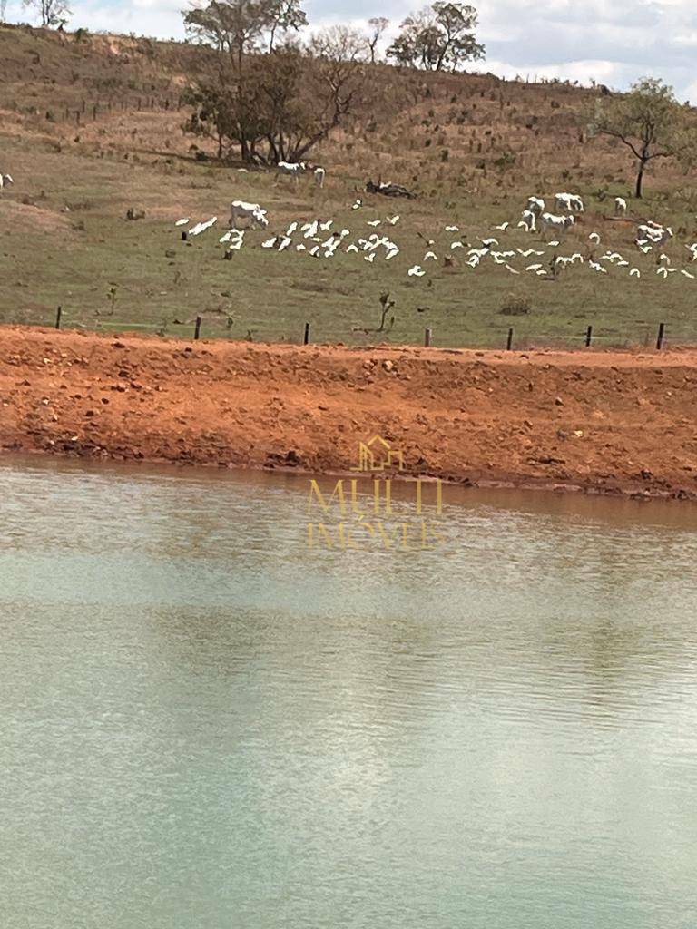 Fazenda à venda com 3 quartos, 10360000M2 - Foto 19