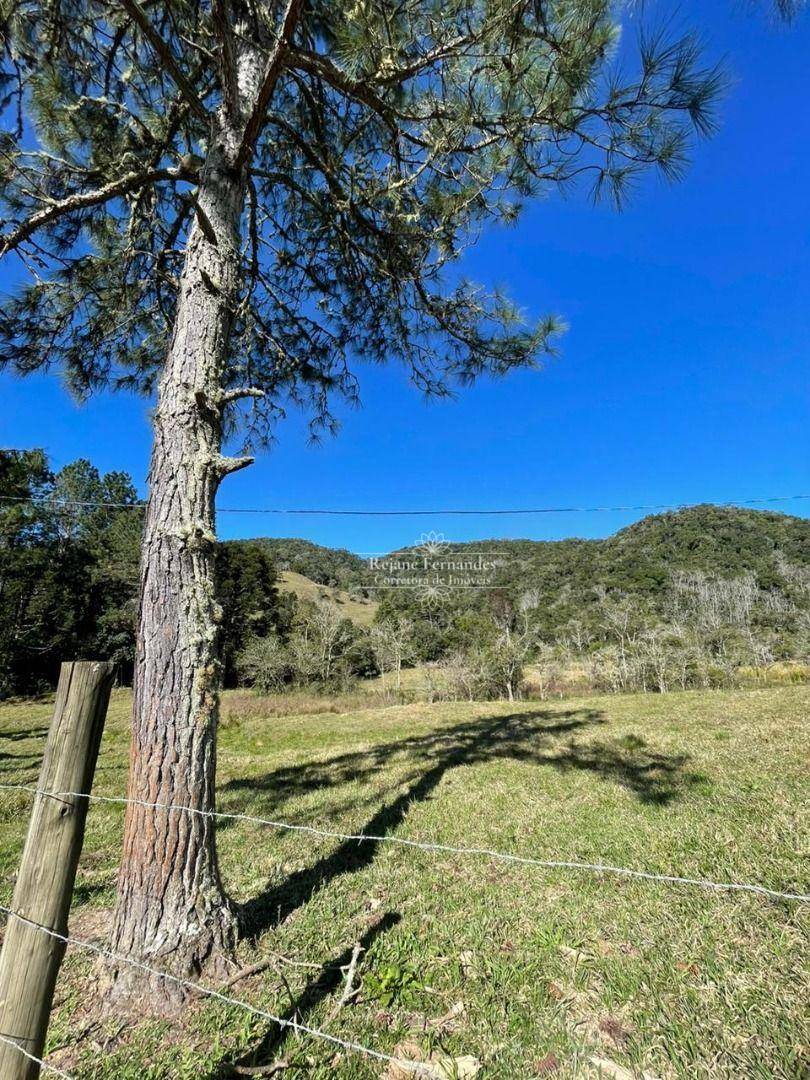 Terreno à venda, 40000M2 - Foto 9