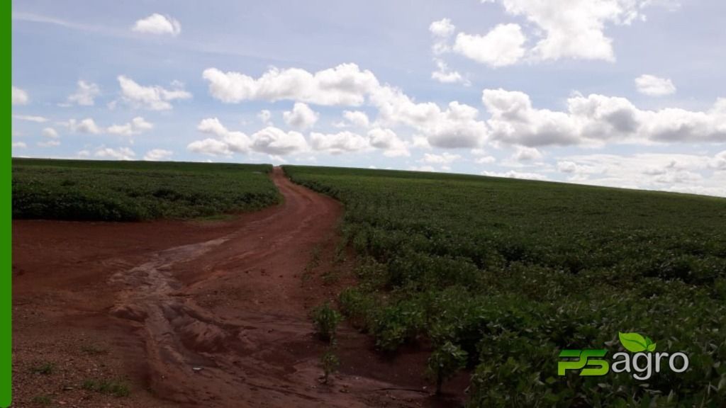 Fazenda à venda, 1376590000M2 - Foto 10