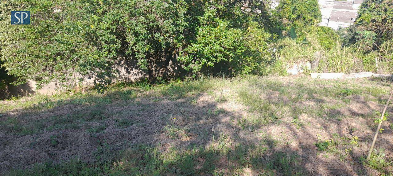 Terreno, 250 m² - Foto 1