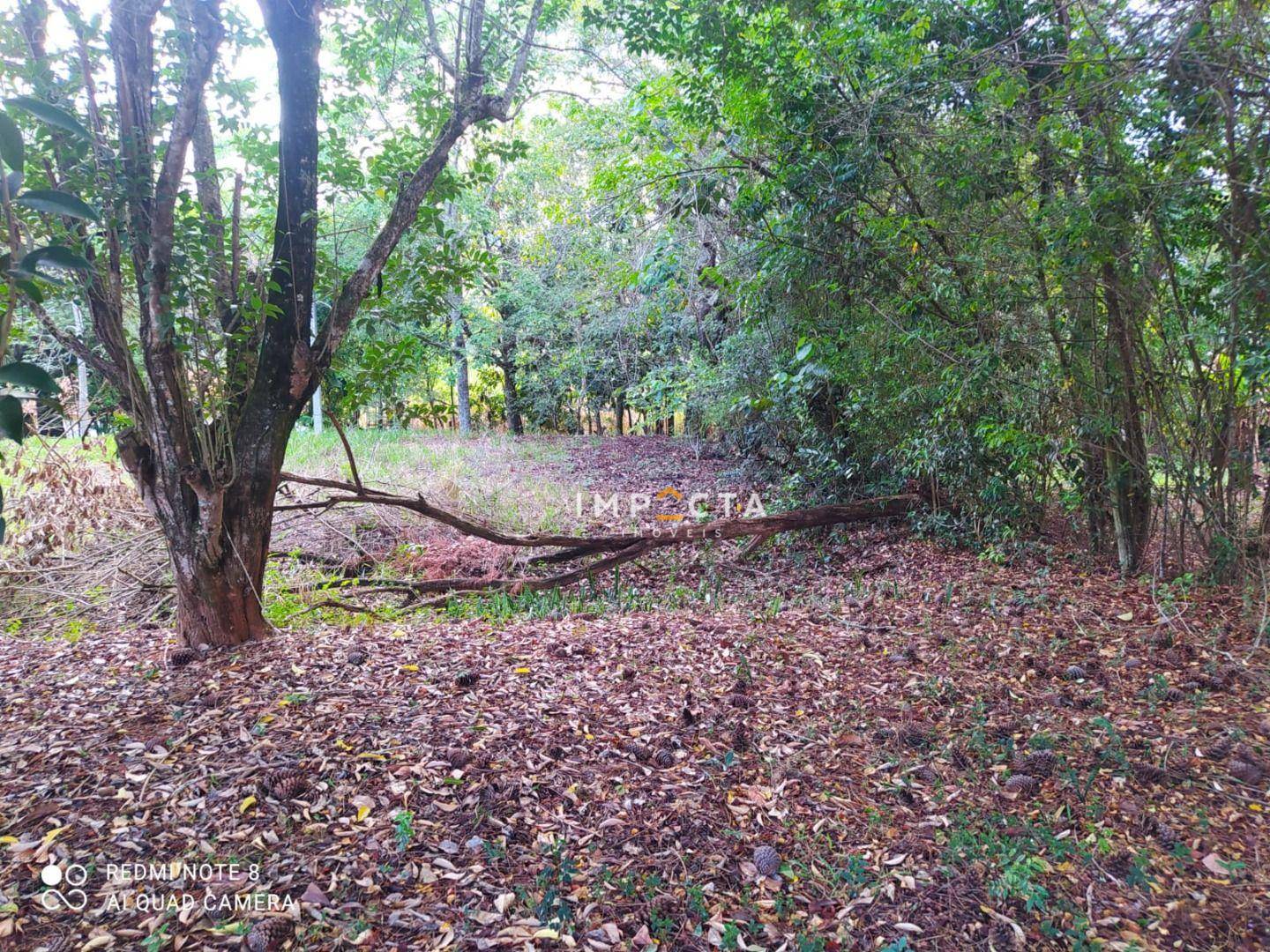 Chácara à venda com 2 quartos, 2260M2 - Foto 19