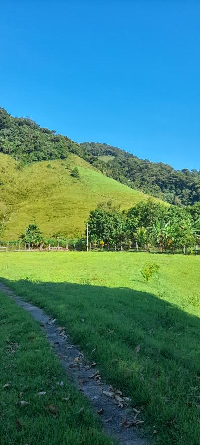 Sítio à venda com 2 quartos, 18000m² - Foto 8