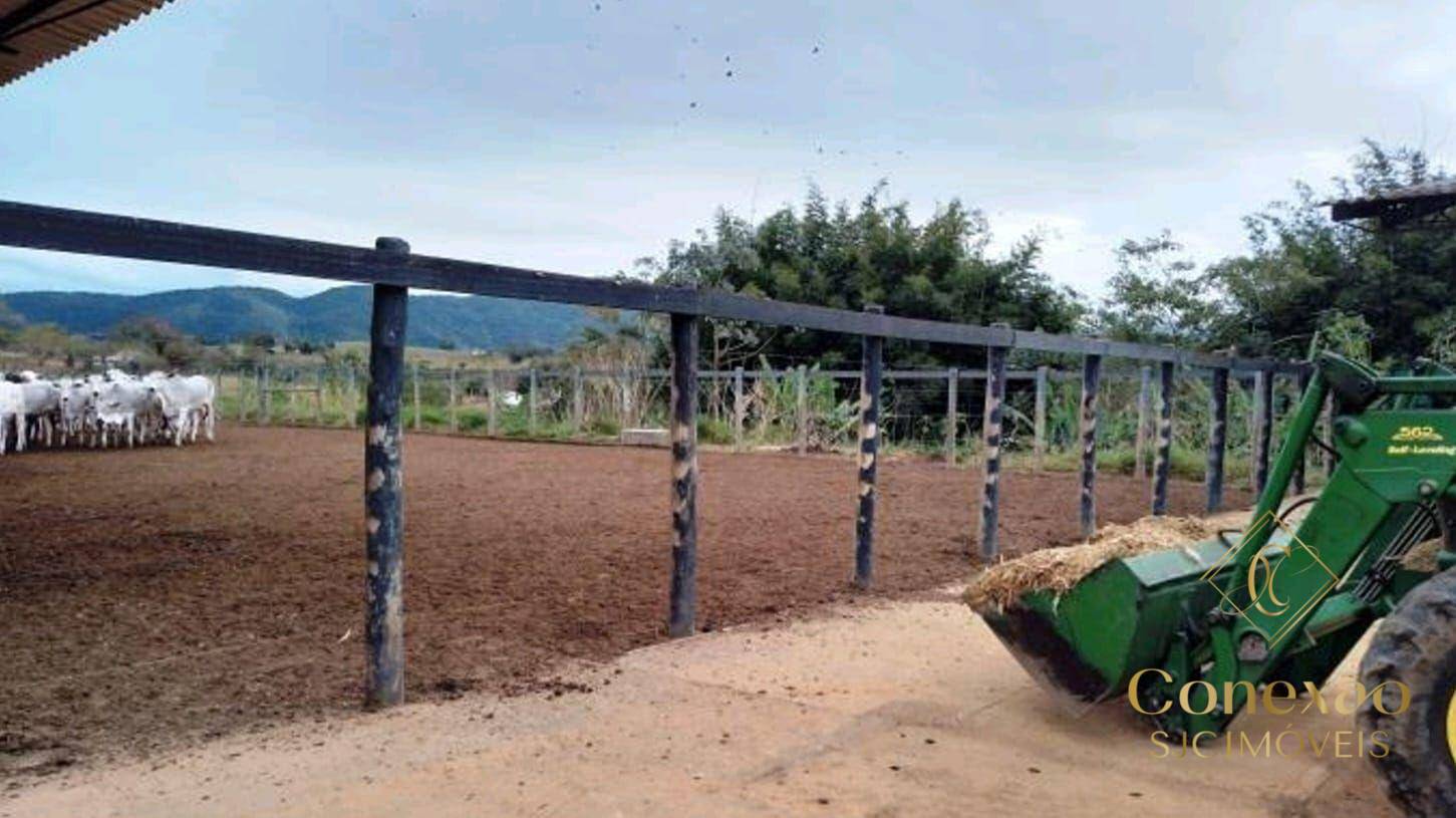 Fazenda, 257 hectares - Foto 15