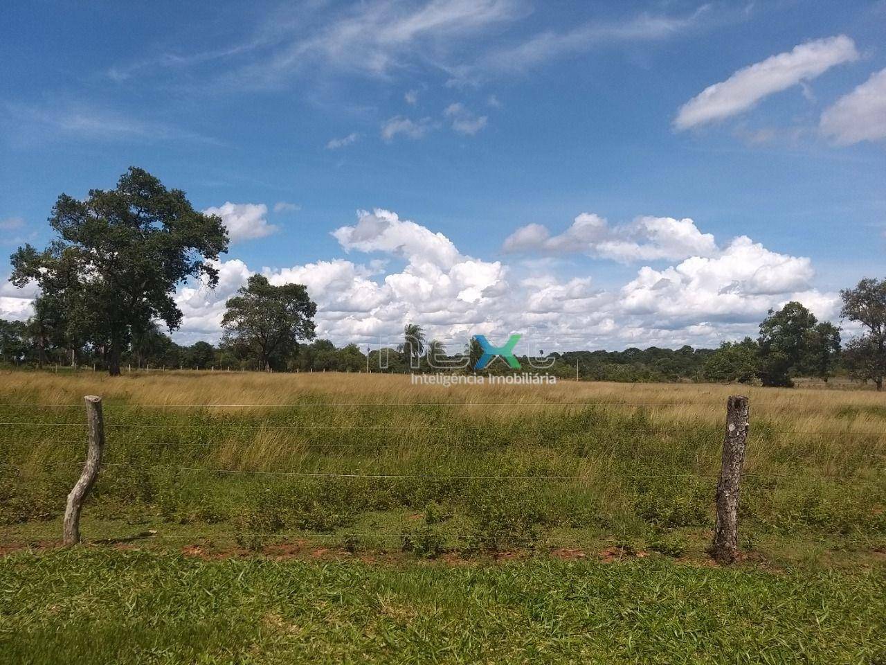 Fazenda à venda com 4 quartos, 430000M2 - Foto 23