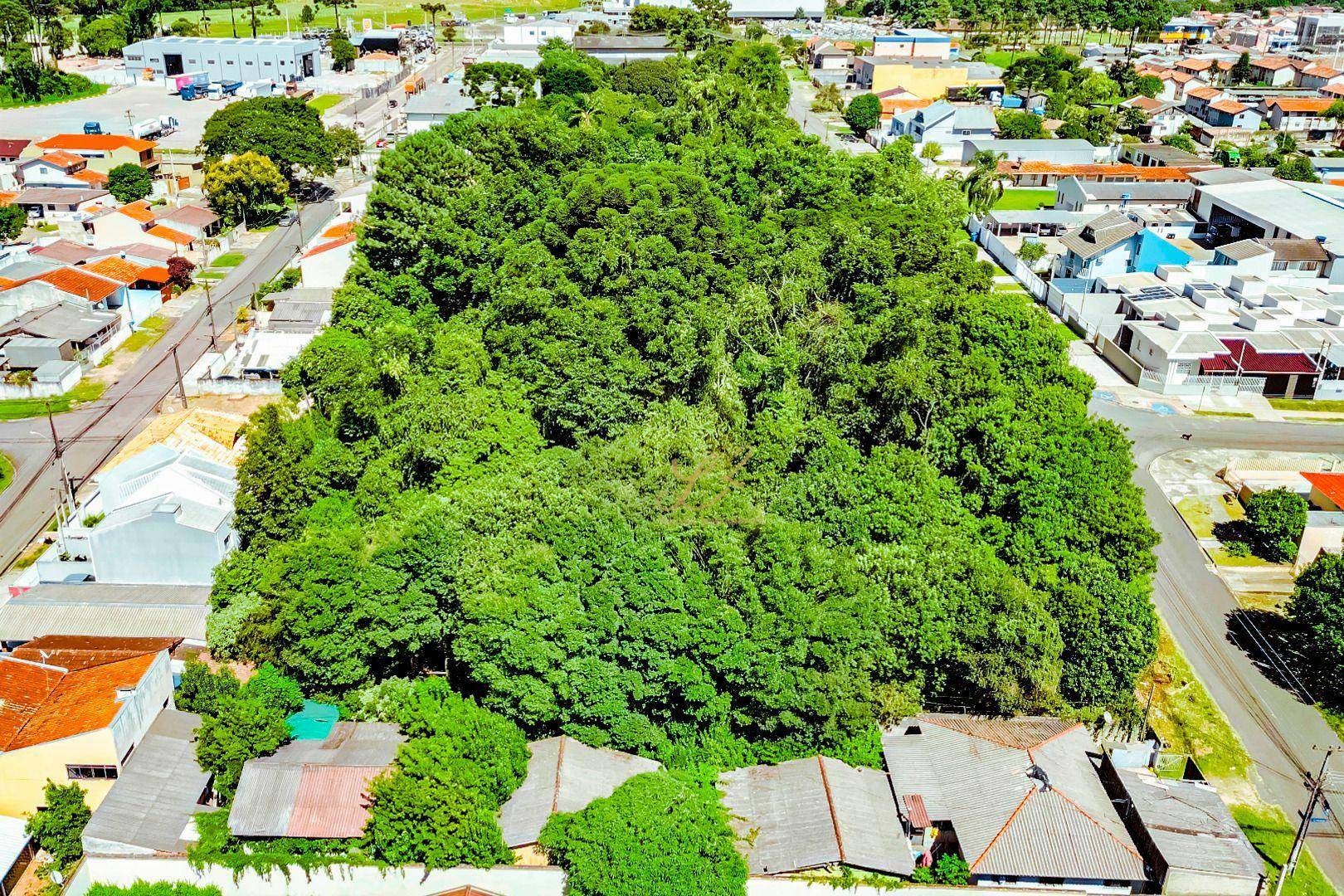 Terreno à venda, 2189M2 - Foto 38