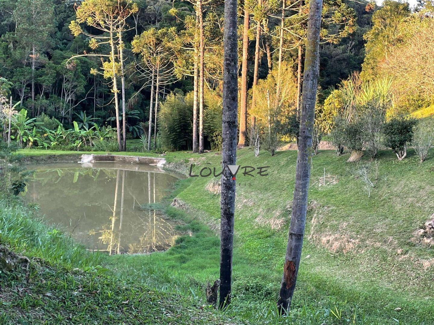 Sítio à venda com 3 quartos, 14000M2 - Foto 13