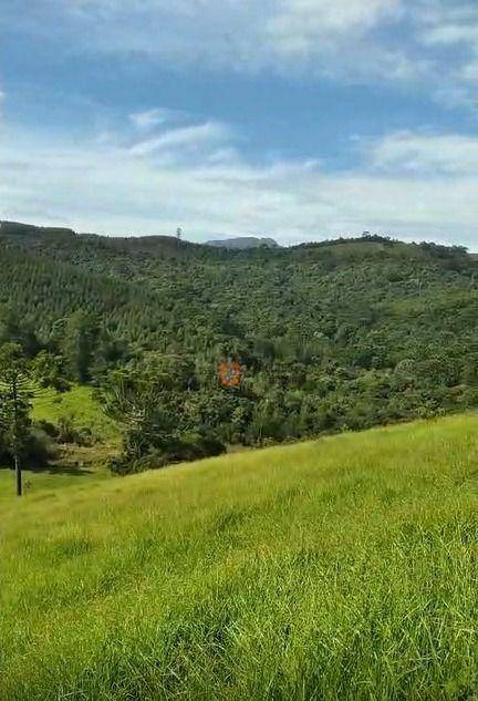 Terreno, 5 hectares - Foto 2