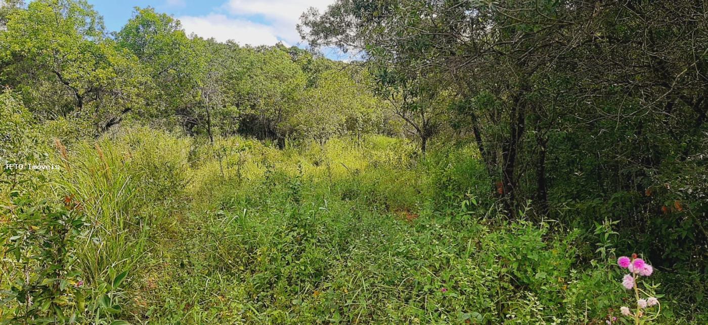 Terreno à venda, 3000m² - Foto 8