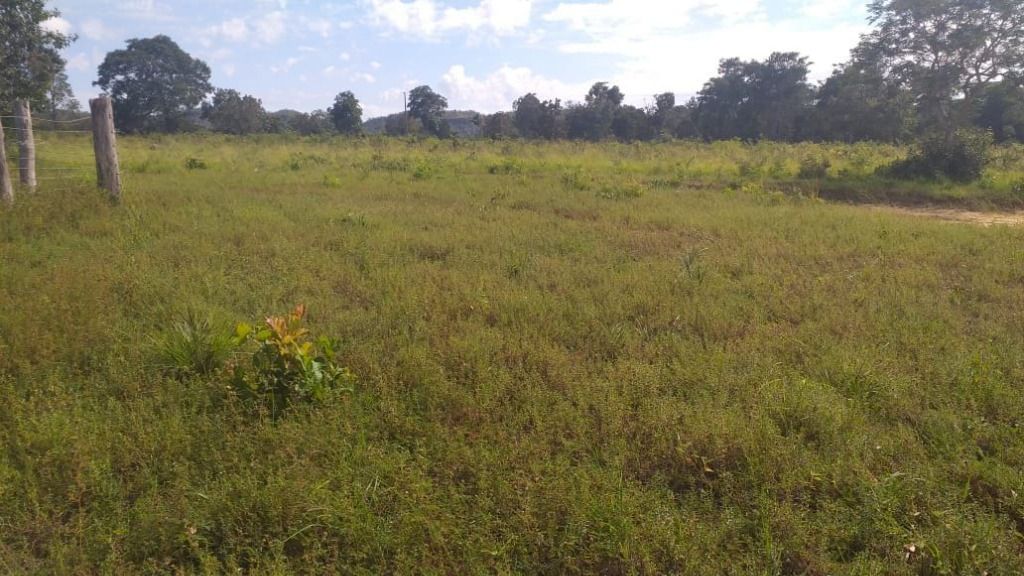 Fazenda-Sítio-Chácara, 3 hectares - Foto 4