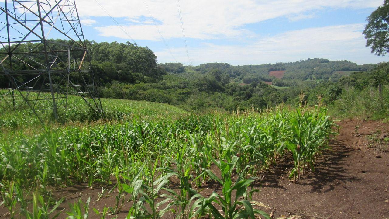 Loteamento e Condomínio à venda, 120000m² - Foto 20