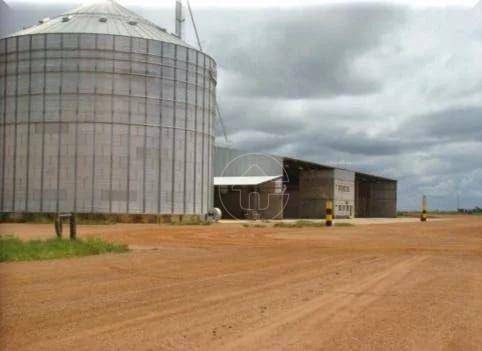 Fazenda à venda, 118290000M2 - Foto 51