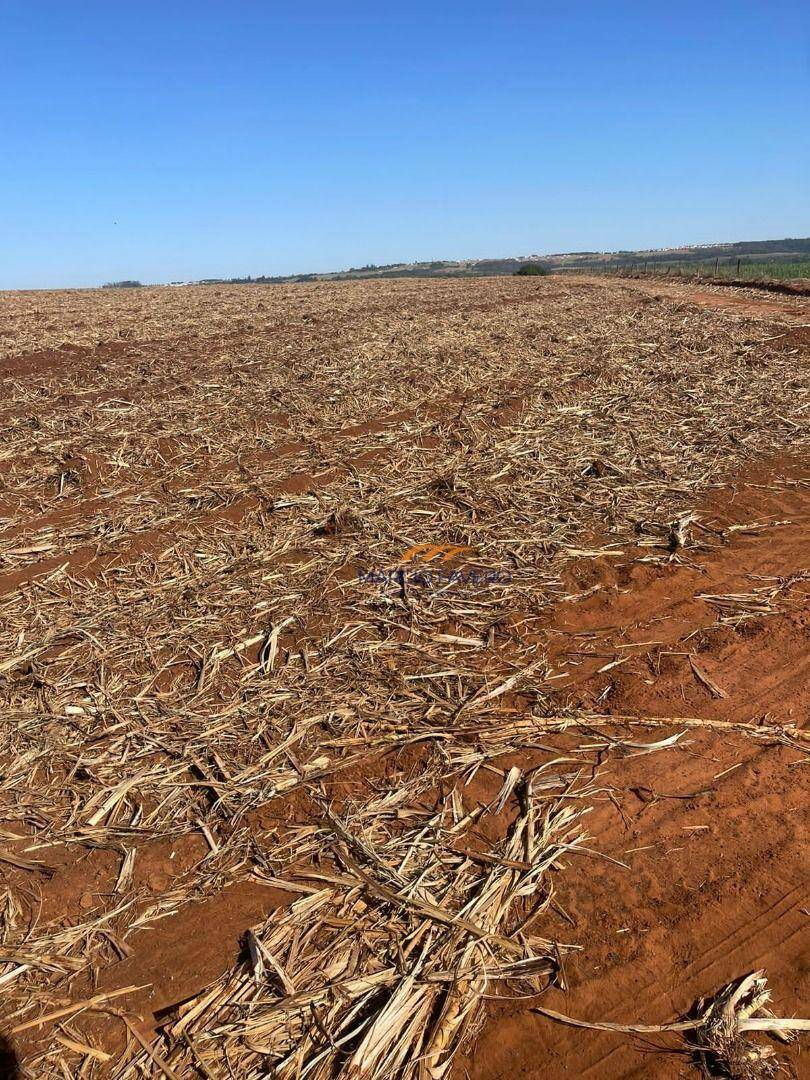 Fazenda à venda, 2299000M2 - Foto 14