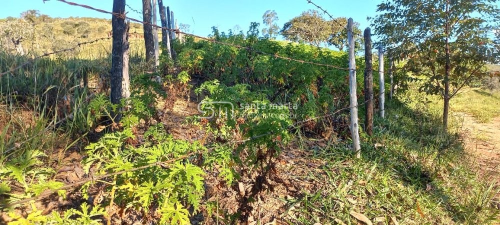 Fazenda à venda com 4 quartos, 72m² - Foto 26