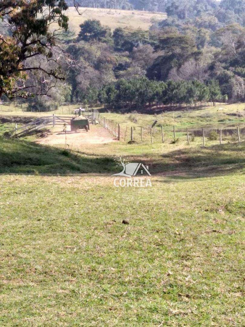 Fazenda à venda, 6897000M2 - Foto 3