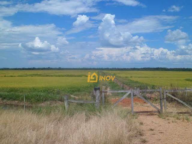 Terreno, 26 hectares - Foto 1