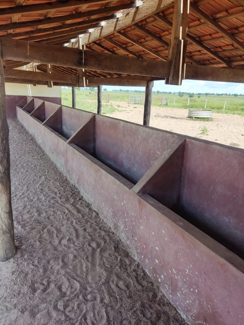 Fazenda, 537 hectares - Foto 9