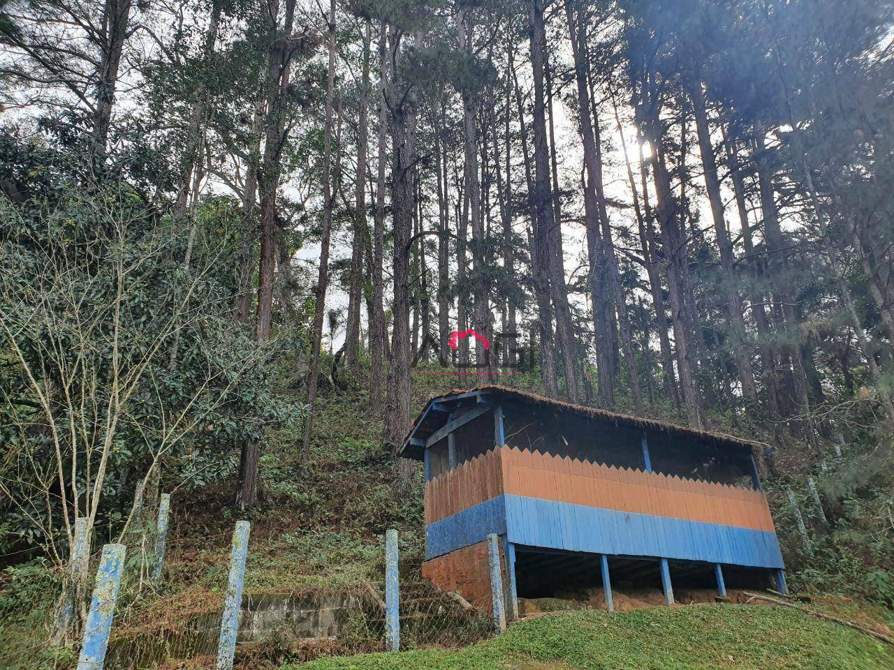 Sítio à venda com 3 quartos, 55429M2 - Foto 11