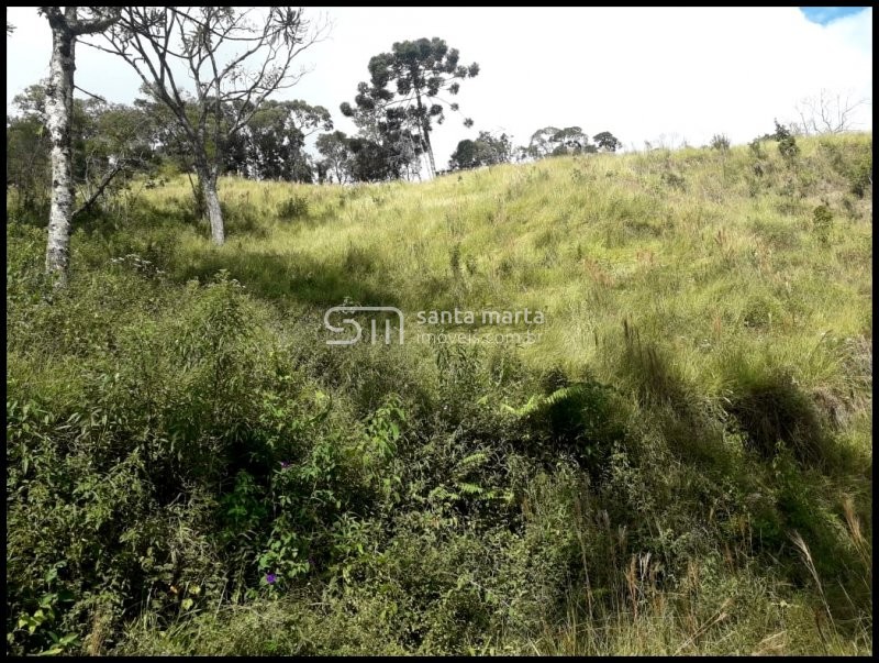 Fazenda à venda, 24m² - Foto 12