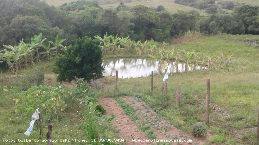 Fazenda à venda com 2 quartos, 35000m² - Foto 8