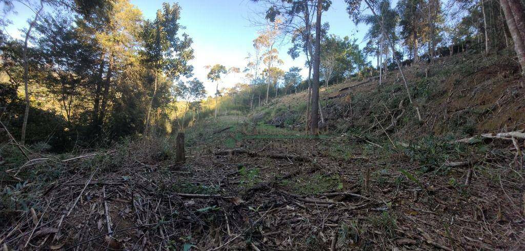 Loteamento e Condomínio à venda, 1750M2 - Foto 6