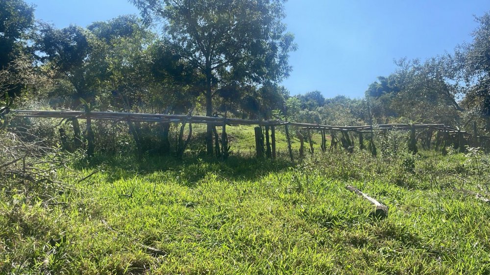 Fazenda à venda com 3 quartos - Foto 6