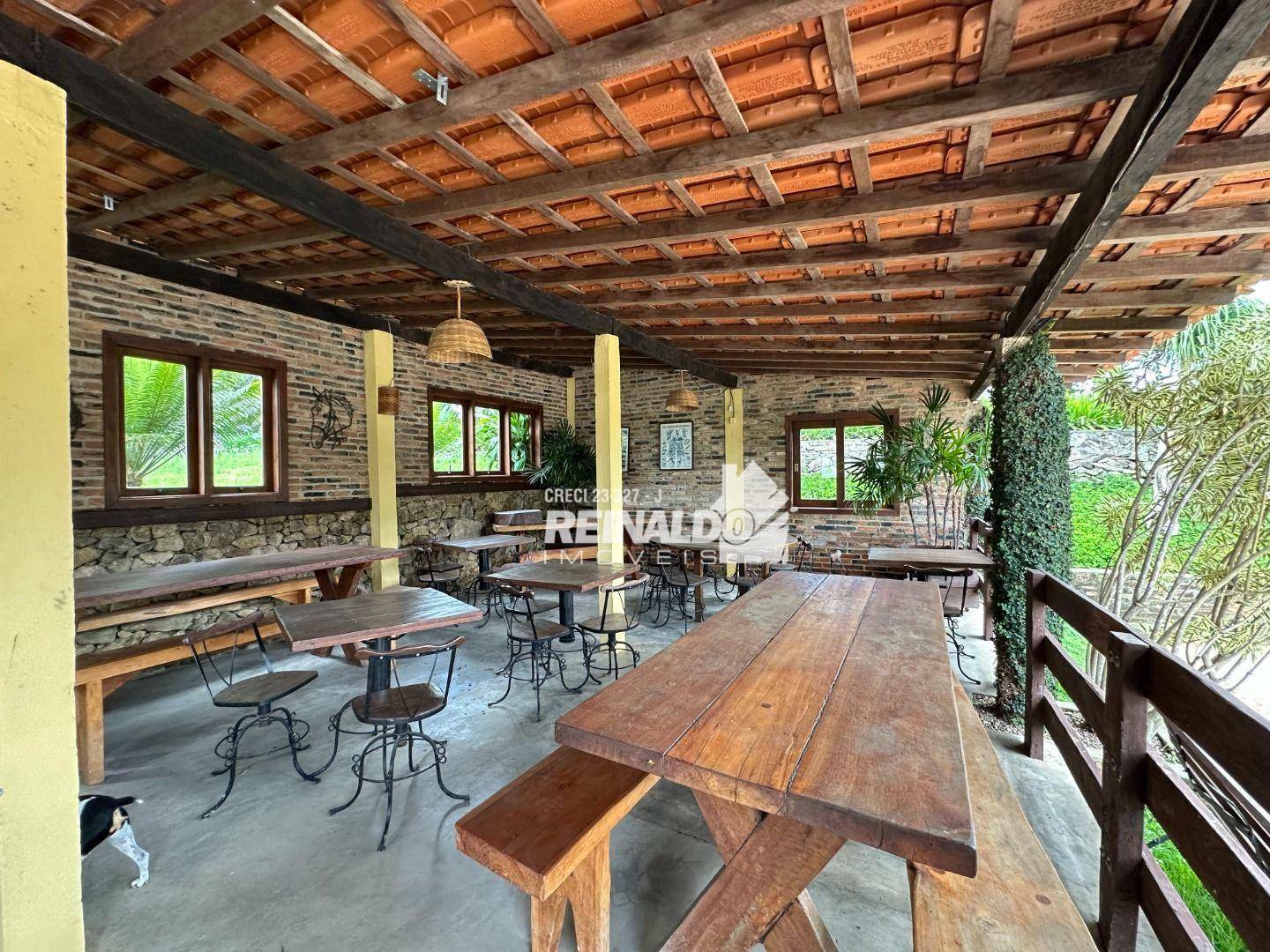 Sítio à venda com 3 quartos, 2920m² - Foto 15
