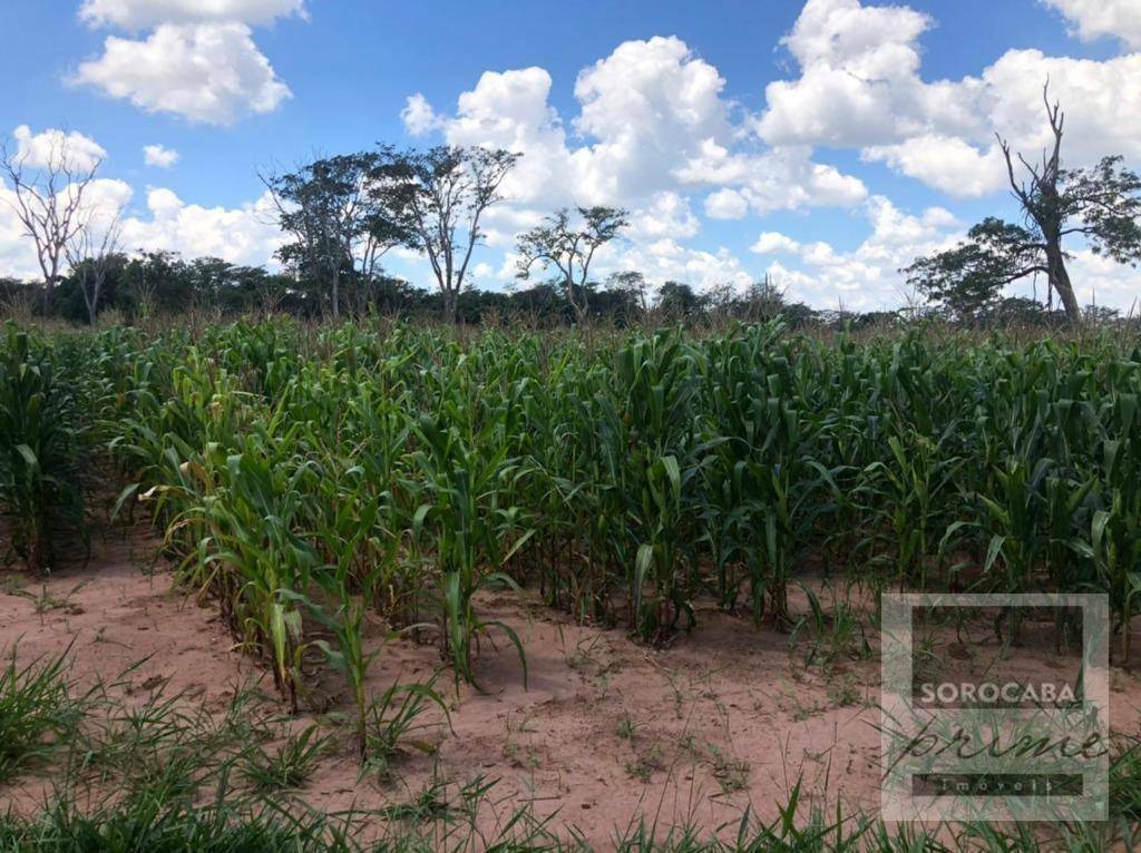 Fazenda à venda, 578622M2 - Foto 9