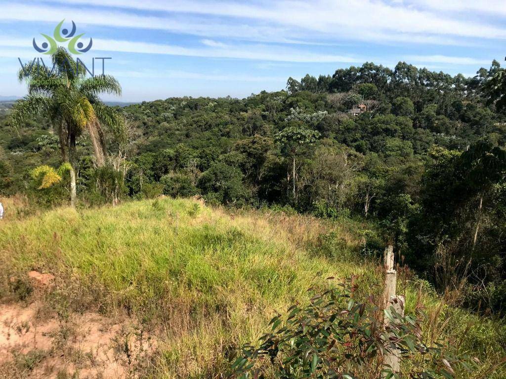 Terreno à venda, 4000M2 - Foto 4