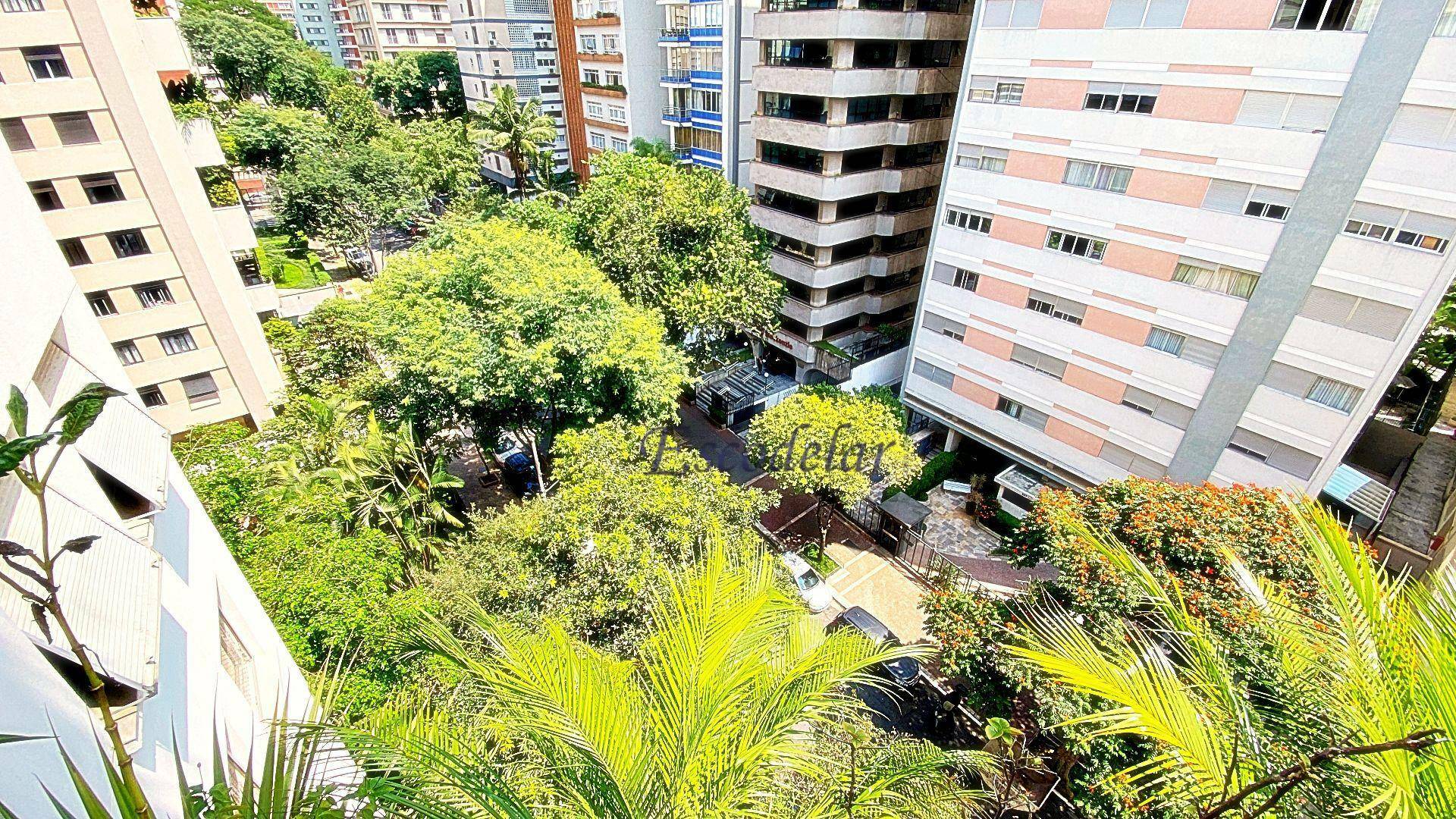 Apartamento à venda com 4 quartos, 530m² - Foto 61