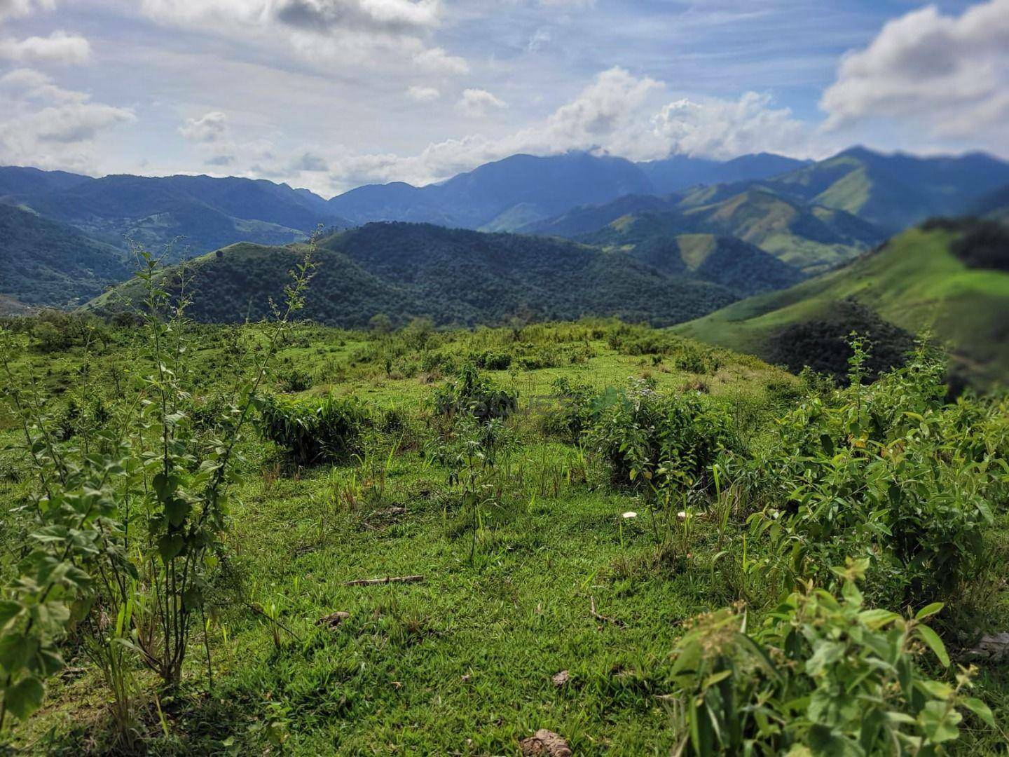 Fazenda à venda, 1292280M2 - Foto 10