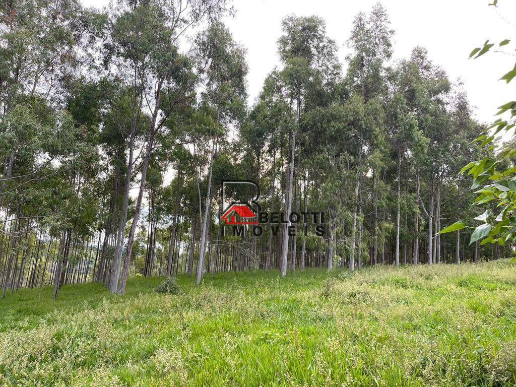 Fazenda à venda, 1597200M2 - Foto 2