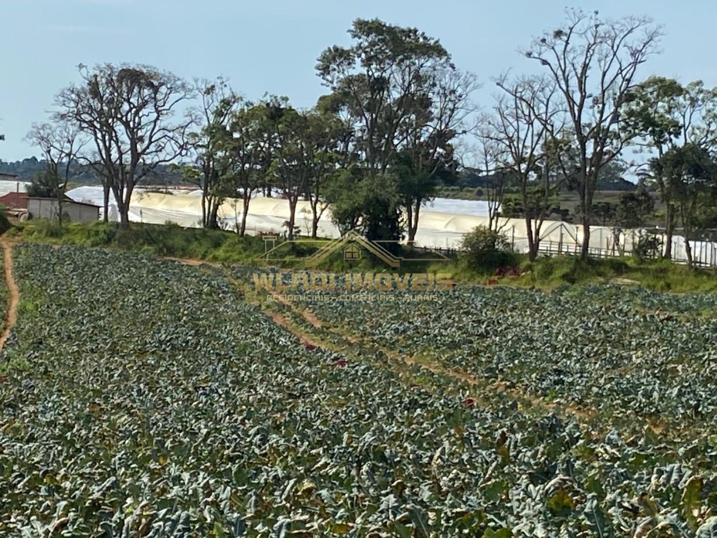 Fazenda-Sítio-Chácara, 70 m² - Foto 11