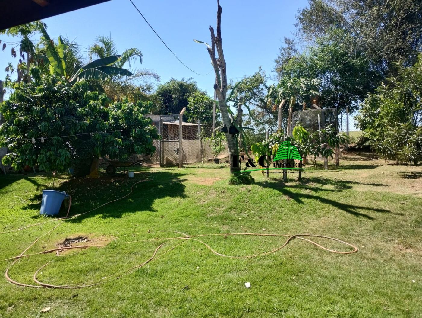 Fazenda à venda com 3 quartos, 1500m² - Foto 6