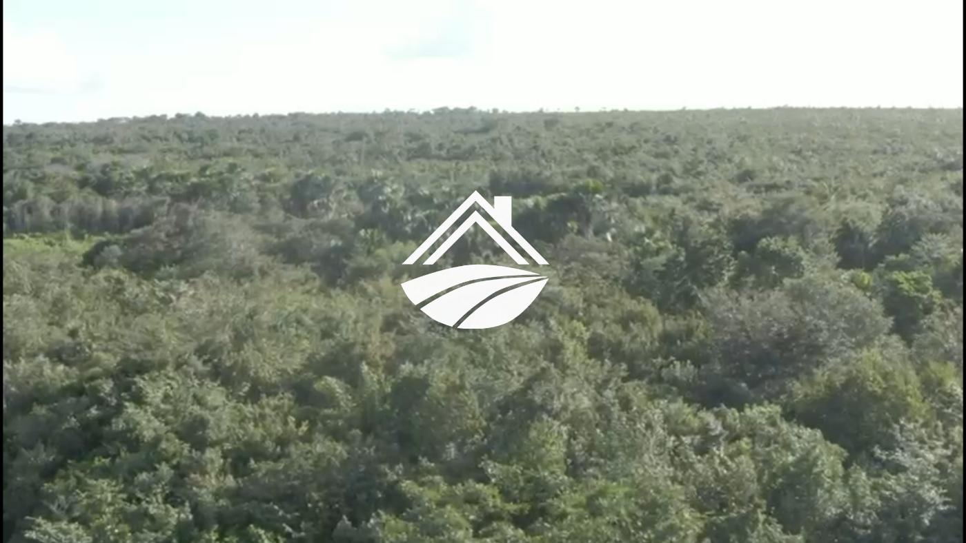 Fazenda à venda, 1m² - Foto 5