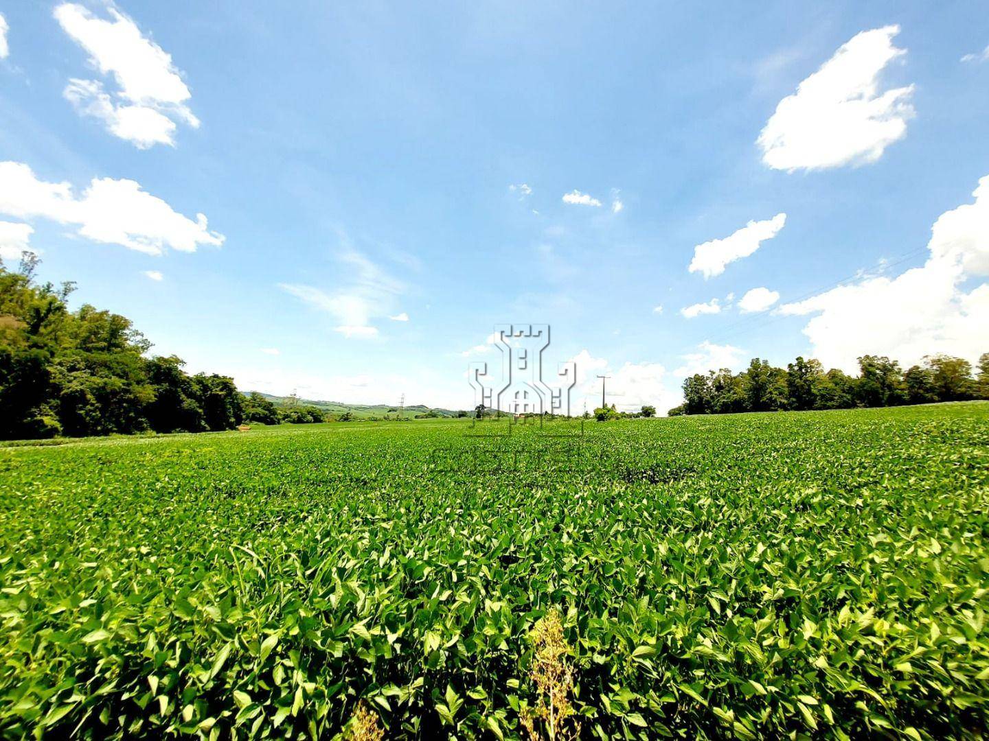 Sítio, 2 quartos, 10 hectares - Foto 1