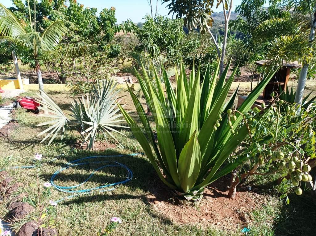 Fazenda à venda com 6 quartos, 2400m² - Foto 16