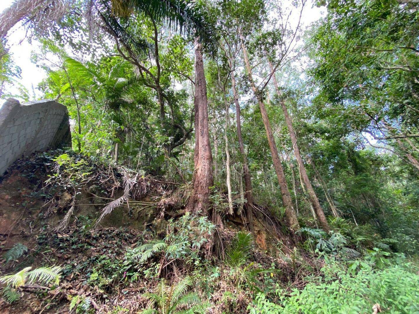 Loteamento e Condomínio à venda, 5660M2 - Foto 14