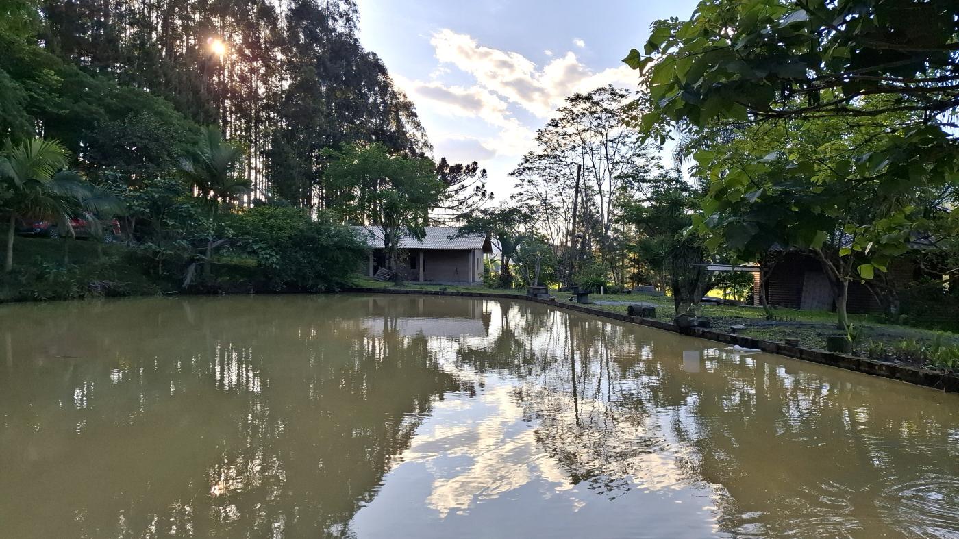 Fazenda à venda com 2 quartos, 8000m² - Foto 40