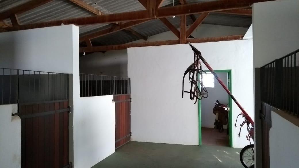 Fazenda à venda com 6 quartos, 145200m² - Foto 39