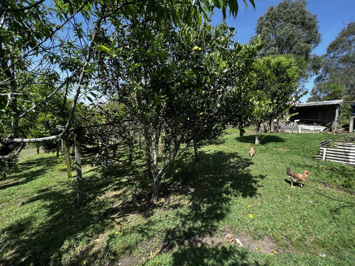 Fazenda à venda, 6300m² - Foto 60