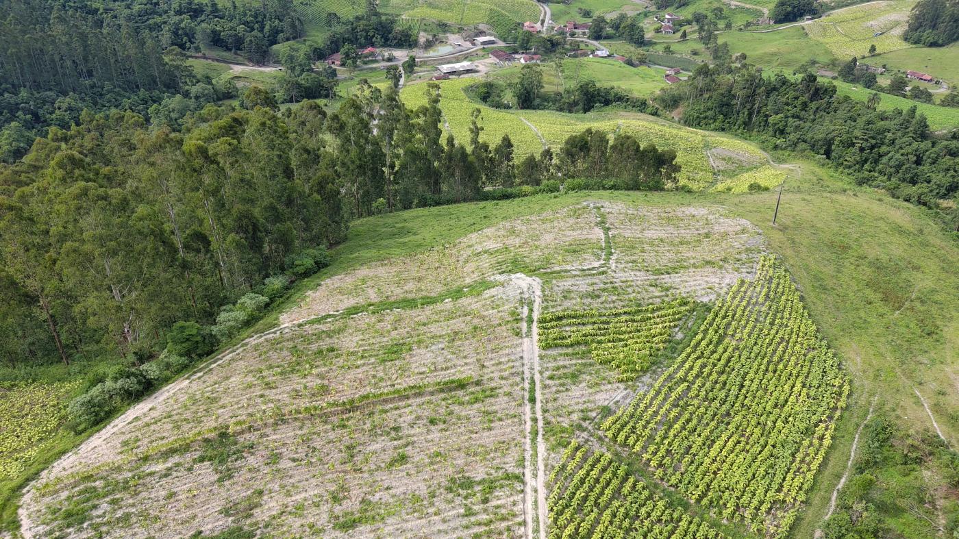 Sítio à venda com 5 quartos, 230000m² - Foto 47