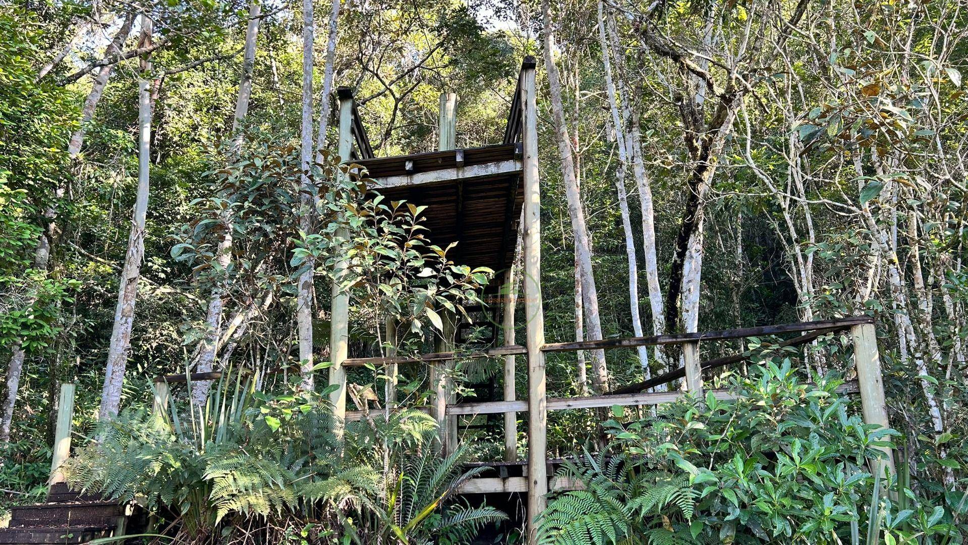 Sítio, 24 m² - Foto 13